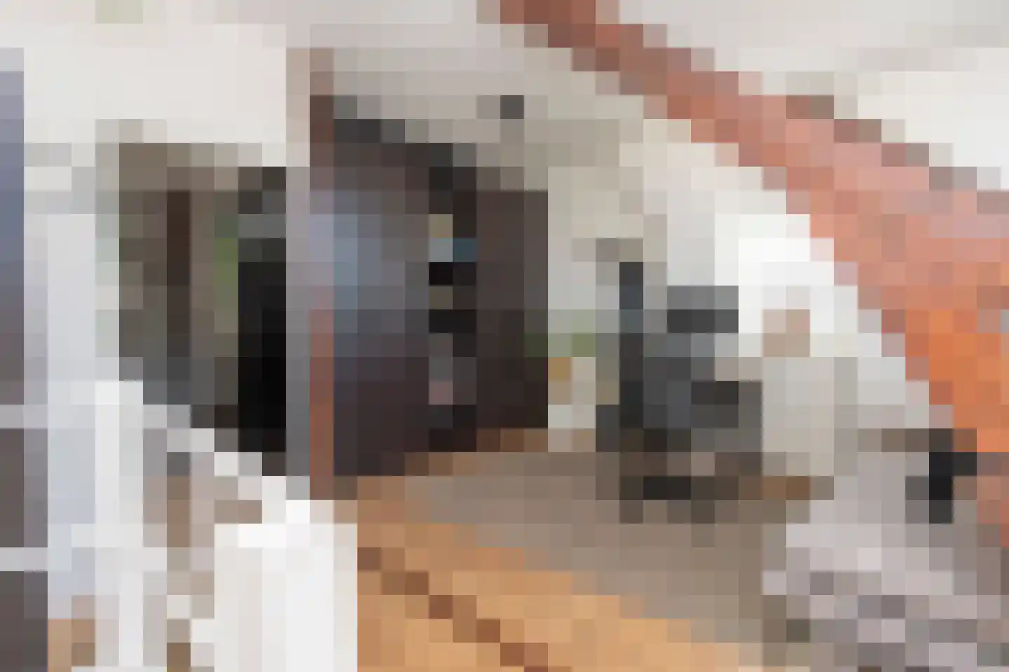 Schaepmanstraat 18 Tilburg thumbnail 20