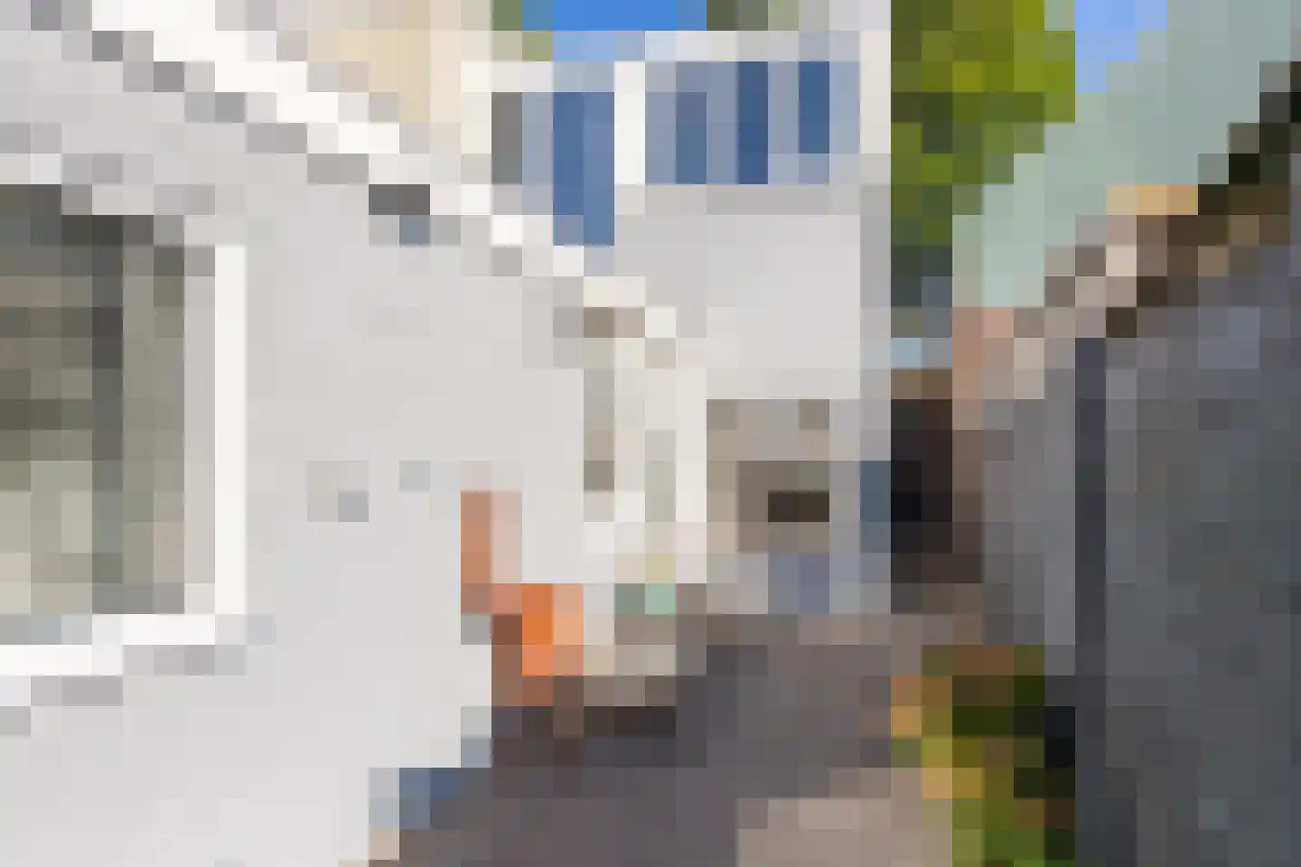 Schaepmanstraat 18 Tilburg thumbnail 28