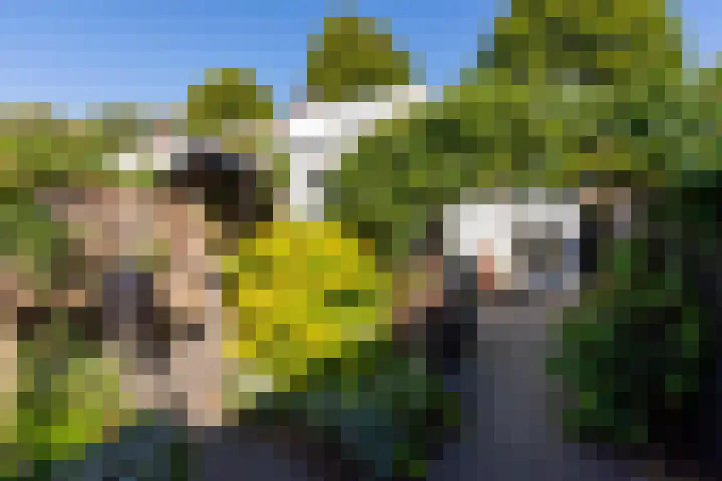 Schaepmanstraat 18 Tilburg thumbnail 30
