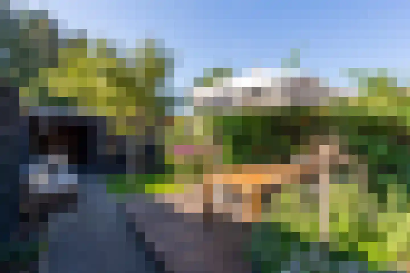 Schaepmanstraat 18 Tilburg thumbnail 32