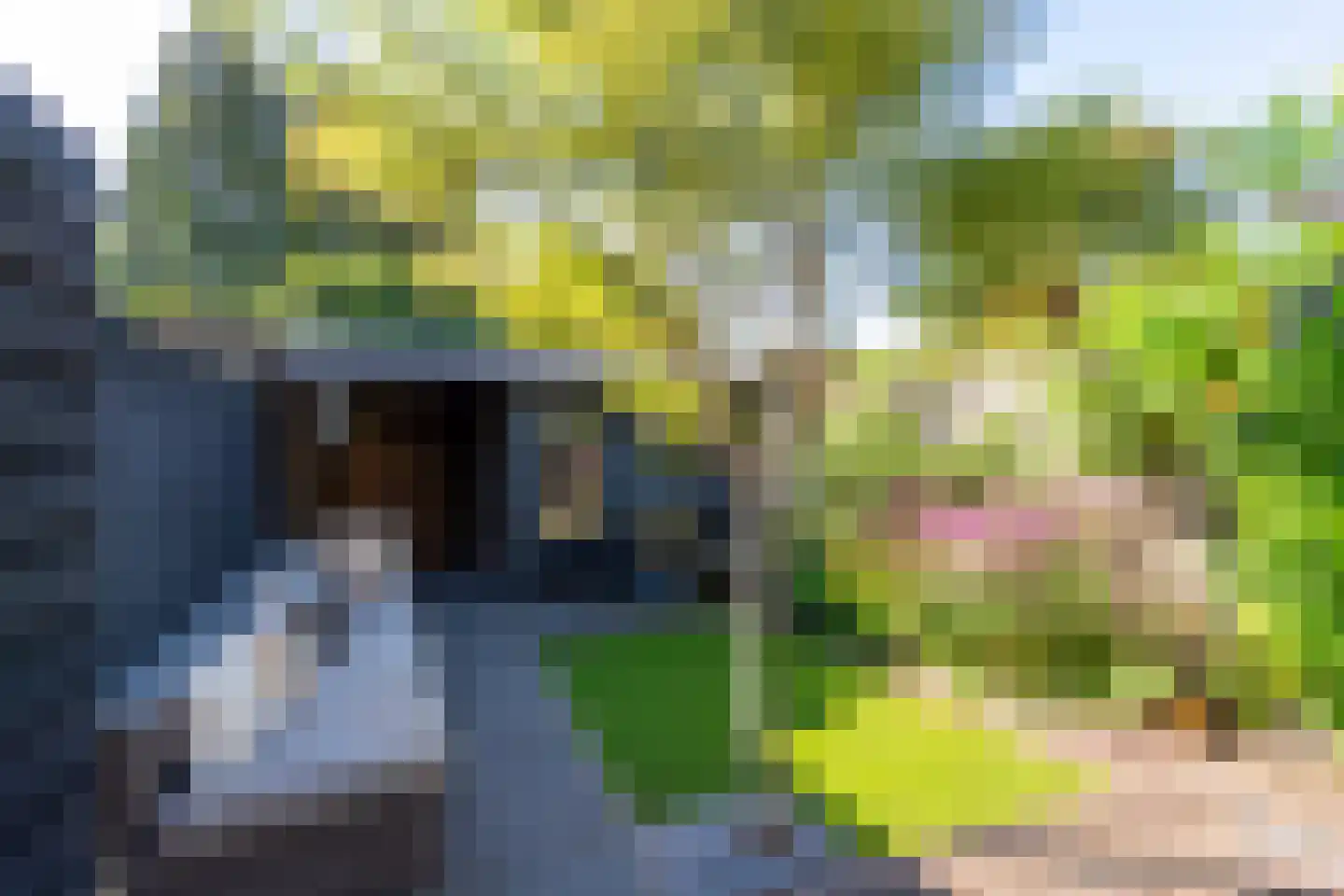 Schaepmanstraat 18 Tilburg thumbnail 33