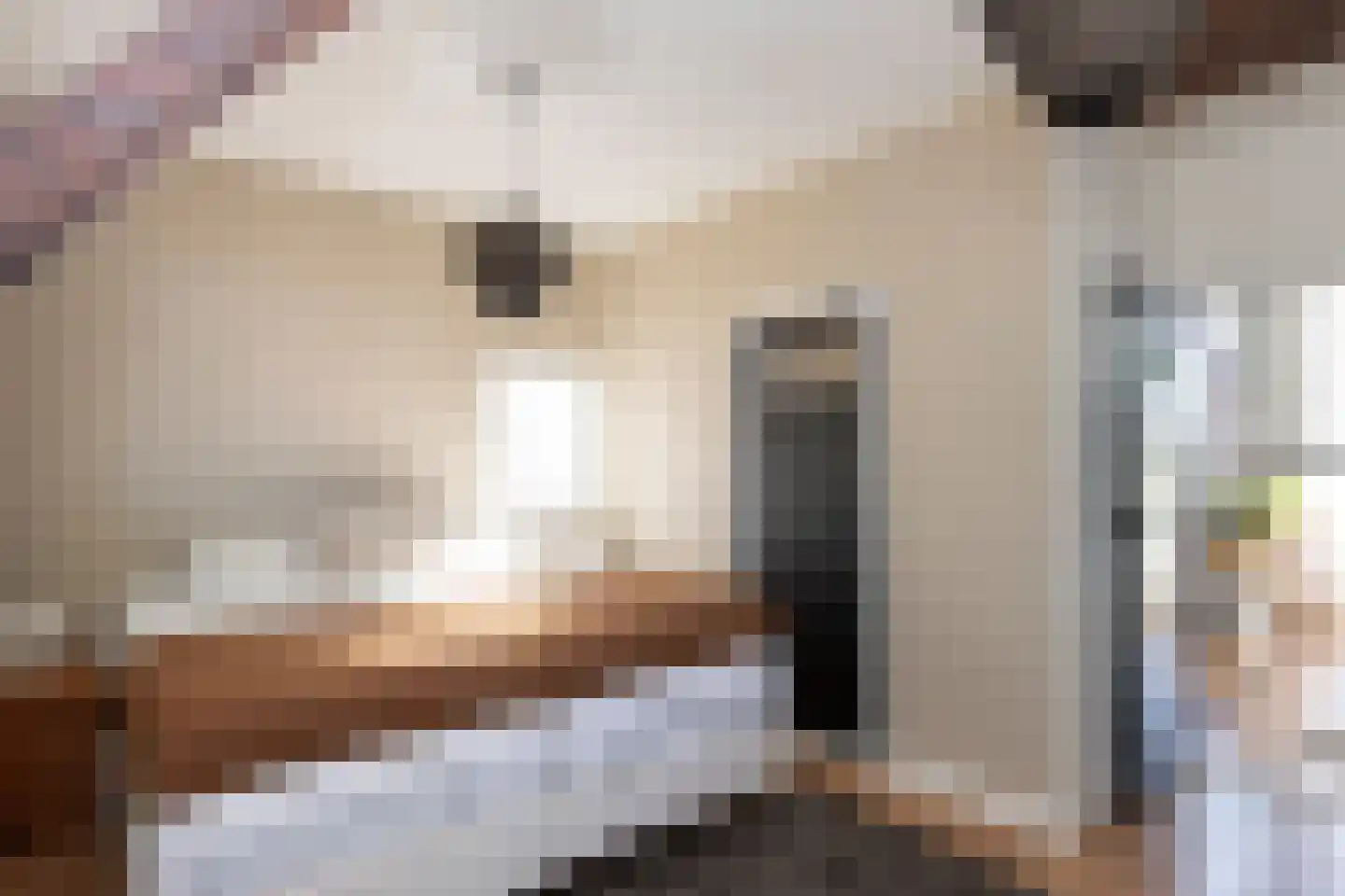 Schaepmanstraat 18 Tilburg thumbnail 4