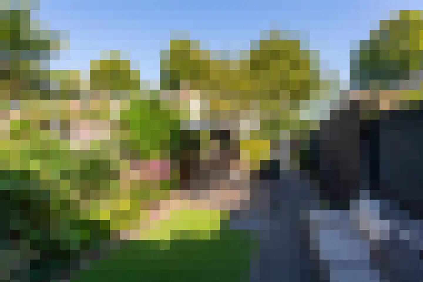 Schaepmanstraat 18 Tilburg thumbnail 5