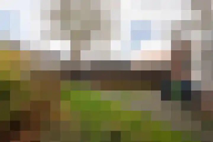 Schaepmanstraat 19 Sneek thumbnail 35
