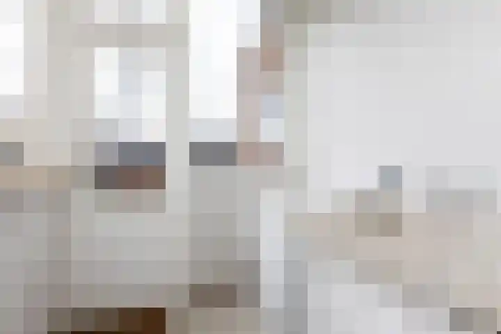 Schaepmanstraat 19 Sneek thumbnail 9
