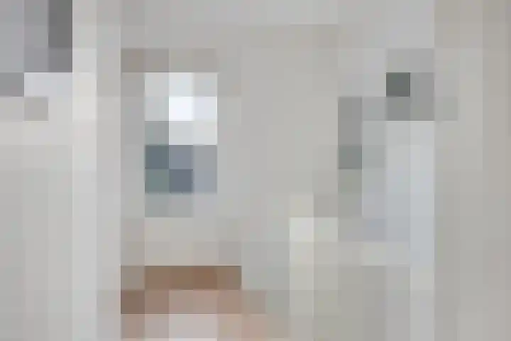 Schaepmanstraat 20 Tilburg thumbnail 21