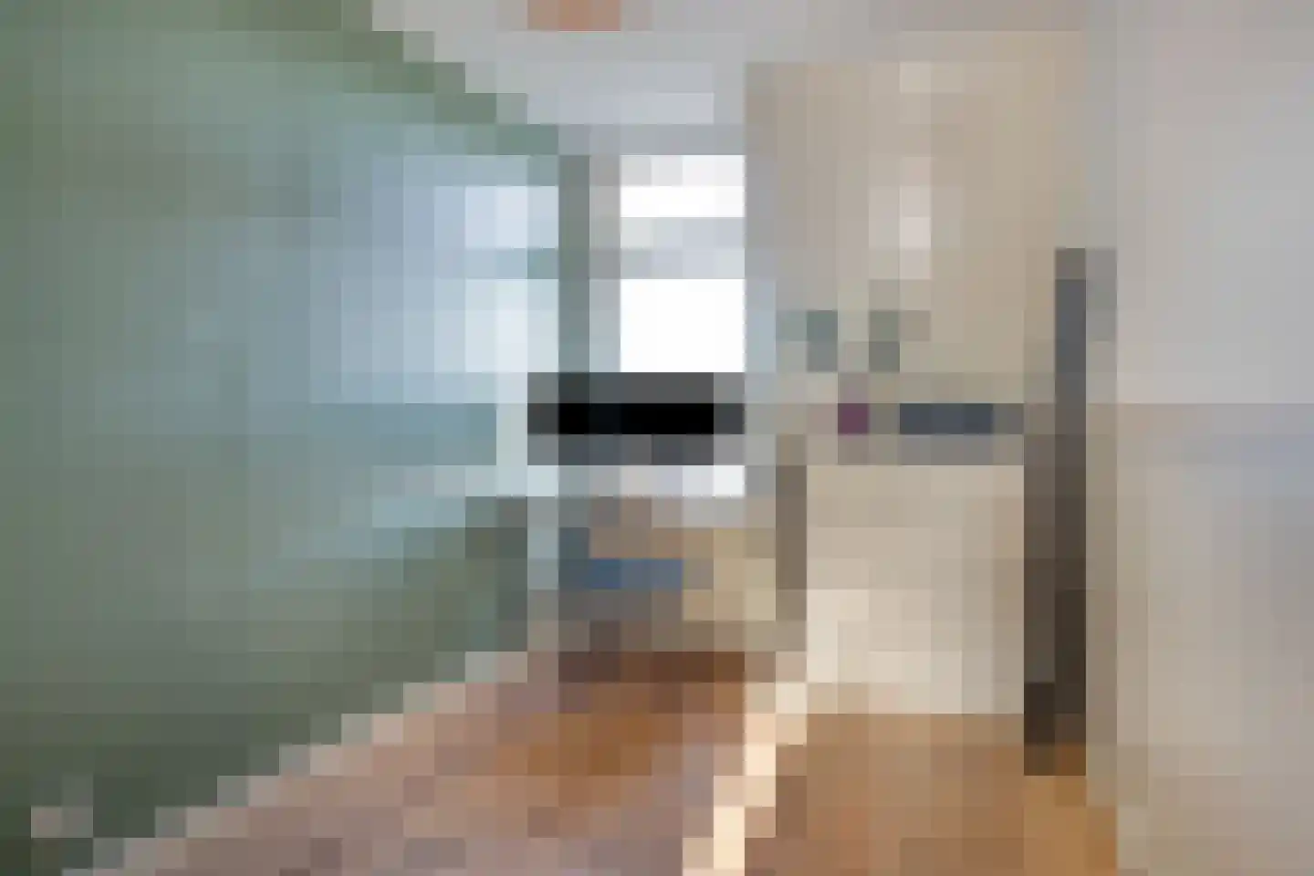 Schaepmanstraat 20 Tilburg thumbnail 23