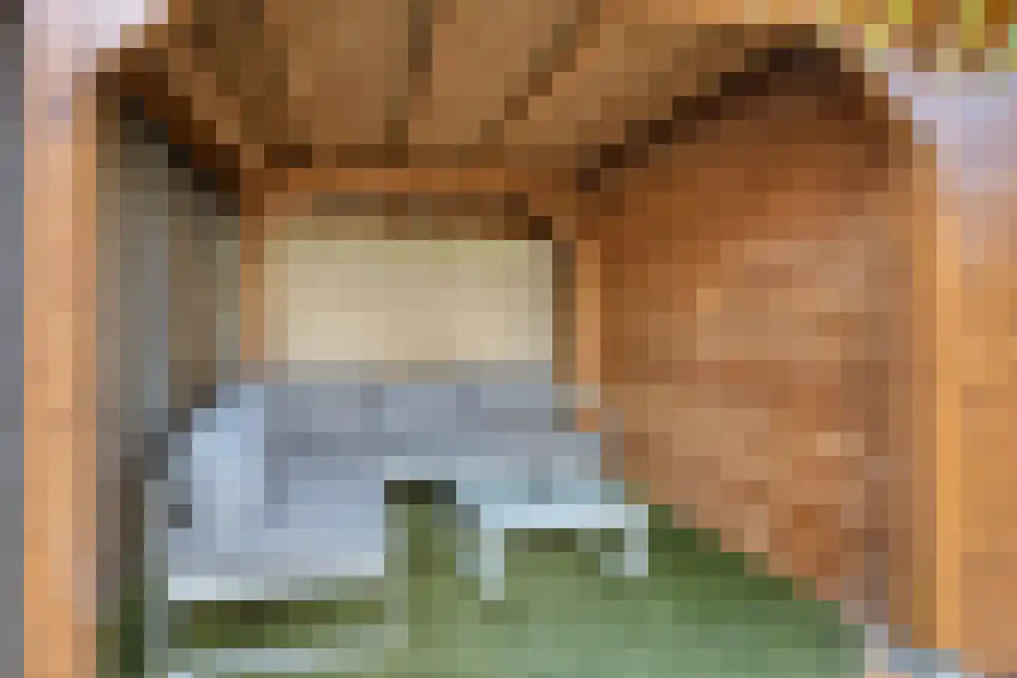 Schaepmanstraat 20 Tilburg thumbnail 35