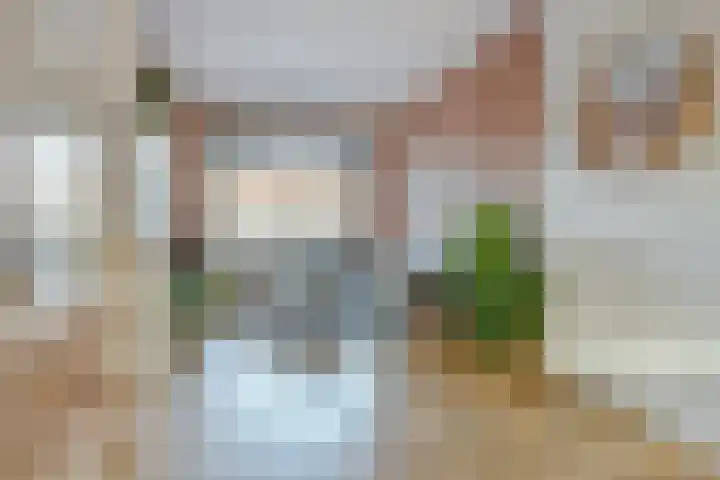 Schaepmanstraat 20 Tilburg thumbnail 6