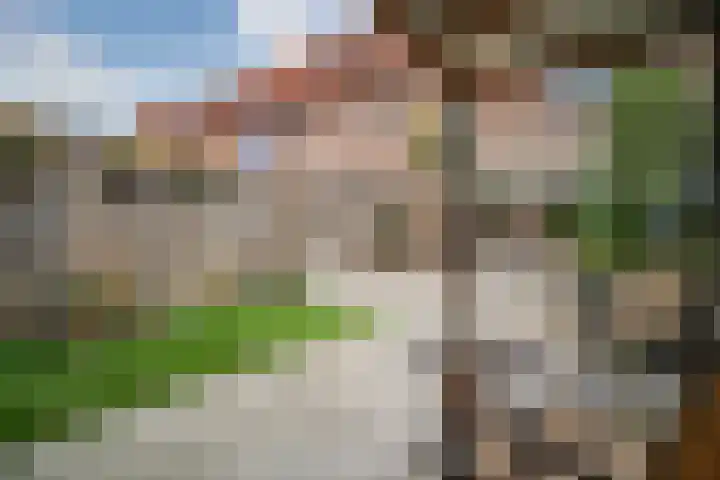 Schaepmanstraat 21 Alphen aan den Rijn thumbnail 20