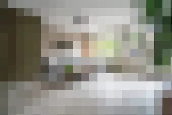 Schaepmanstraat 21 Alphen aan den Rijn thumbnail 5