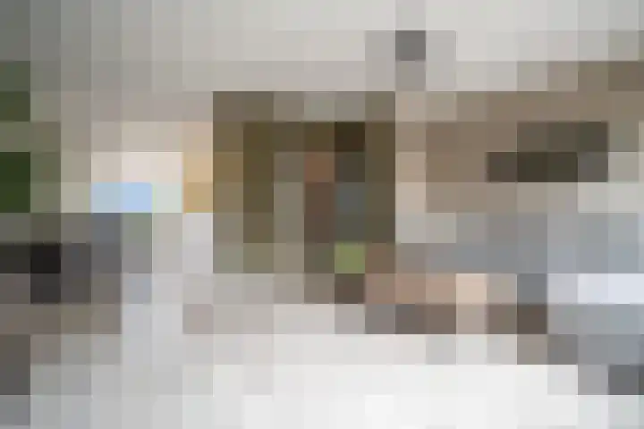 Schaepmanstraat 21 Alphen aan den Rijn thumbnail 6