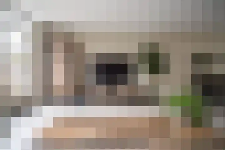 Schaepmanstraat 21 Alphen aan den Rijn thumbnail 8