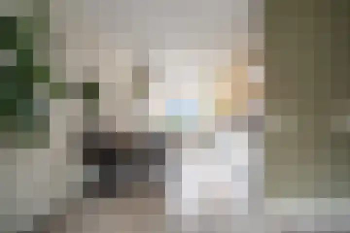 Schaepmanstraat 21 Alphen aan den Rijn thumbnail 9