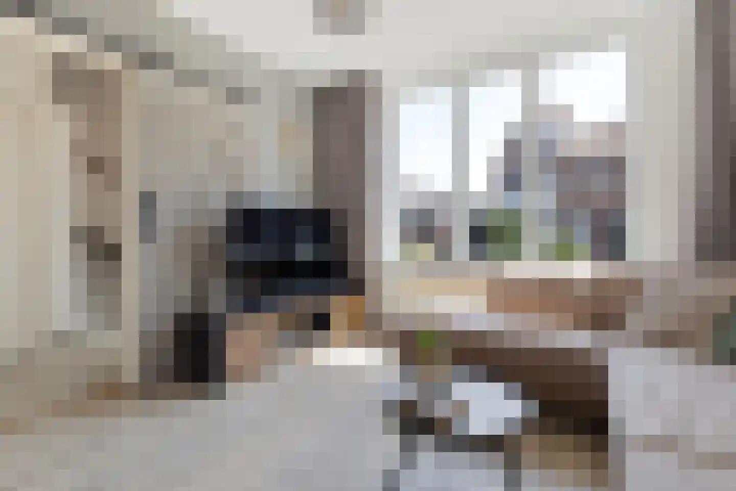 Schaepmanstraat 21 Tegelen thumbnail 12