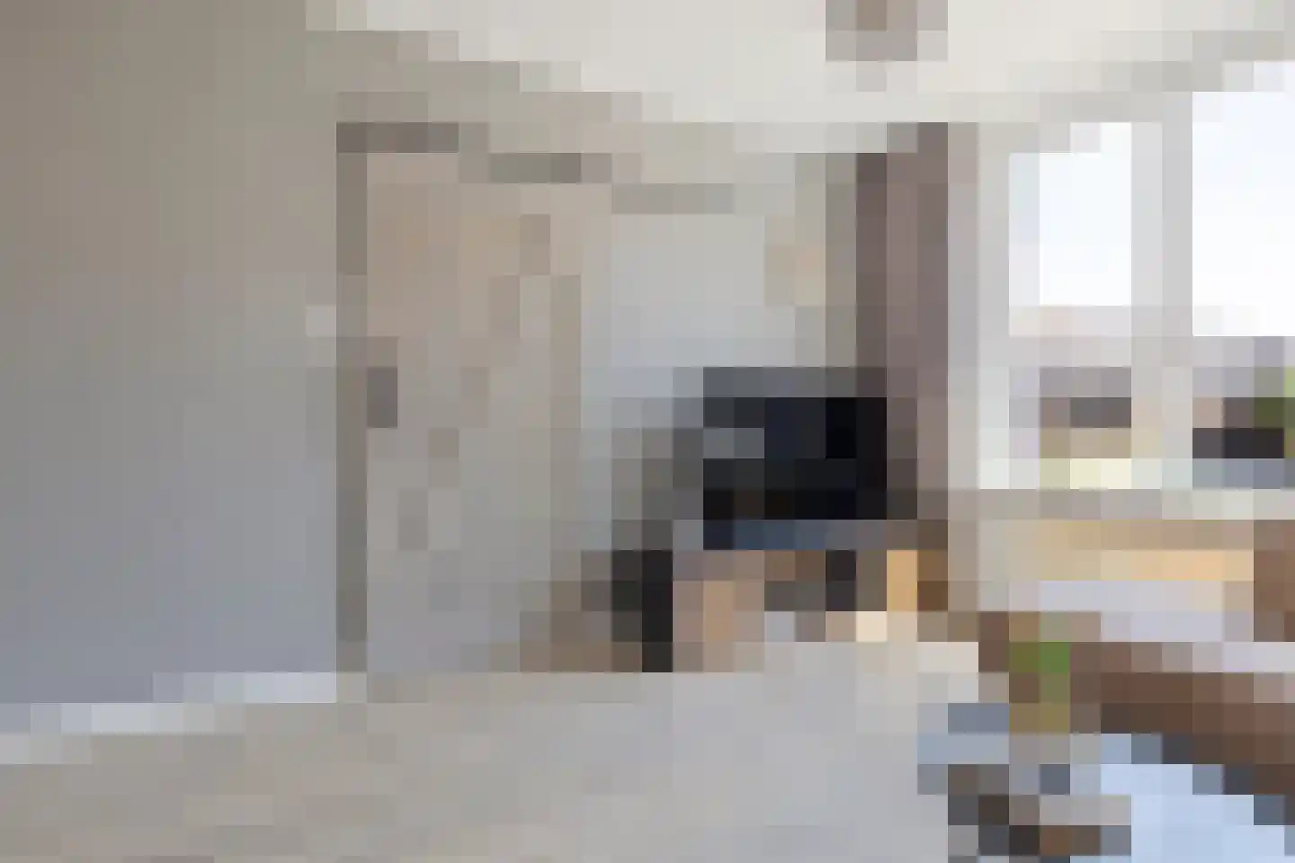 Schaepmanstraat 21 Tegelen thumbnail 13