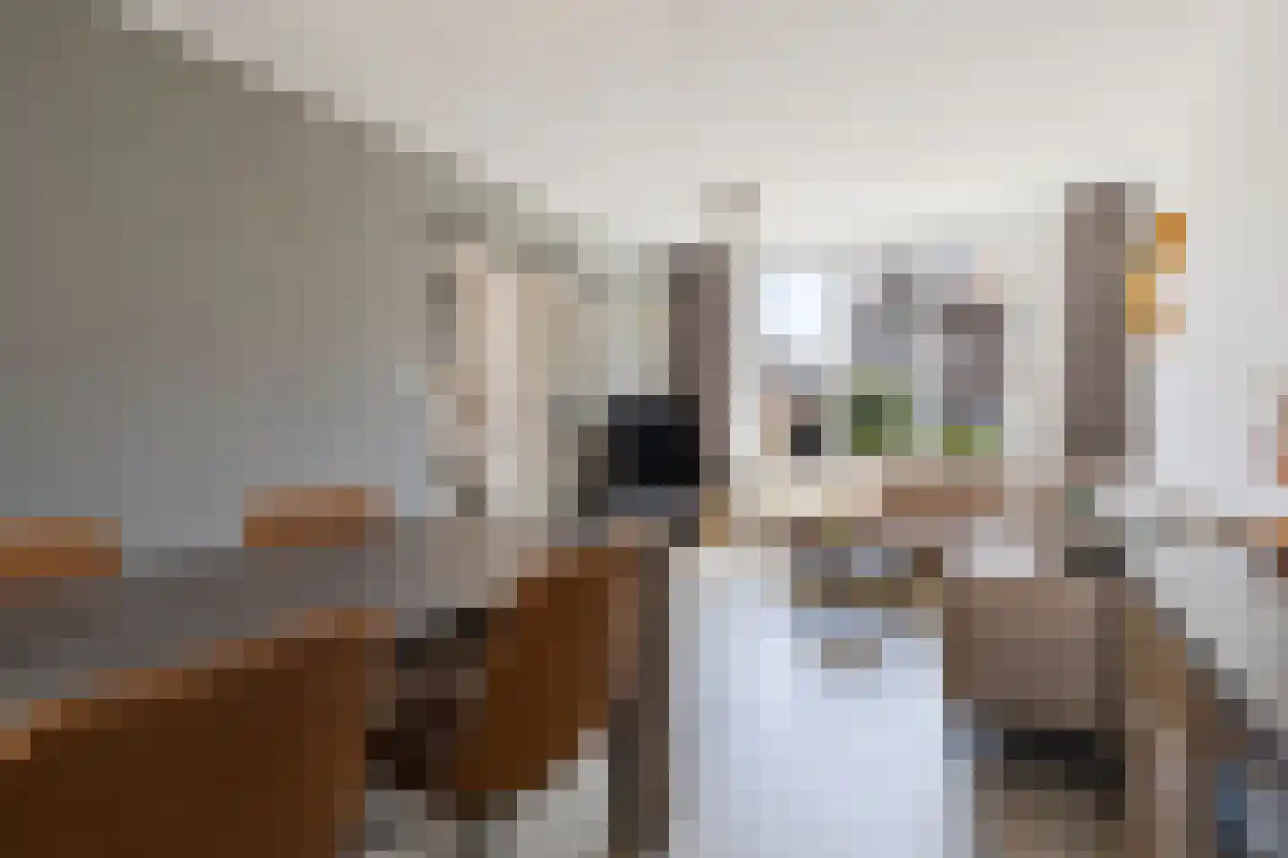 Schaepmanstraat 21 Tegelen thumbnail 16