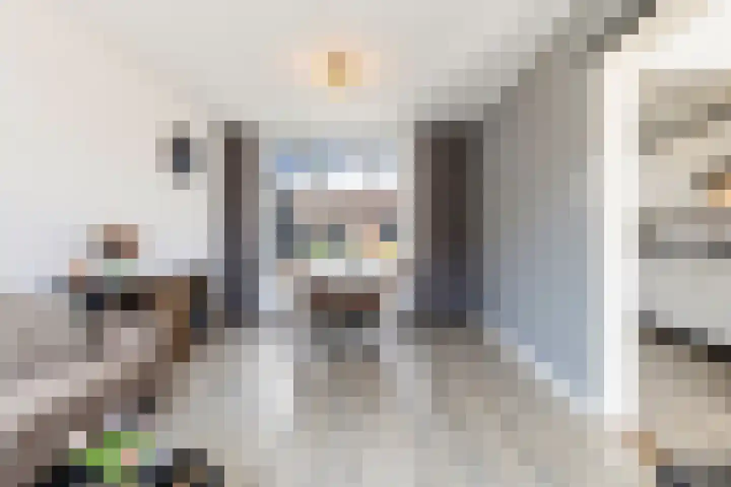 Schaepmanstraat 21 Tegelen thumbnail 18