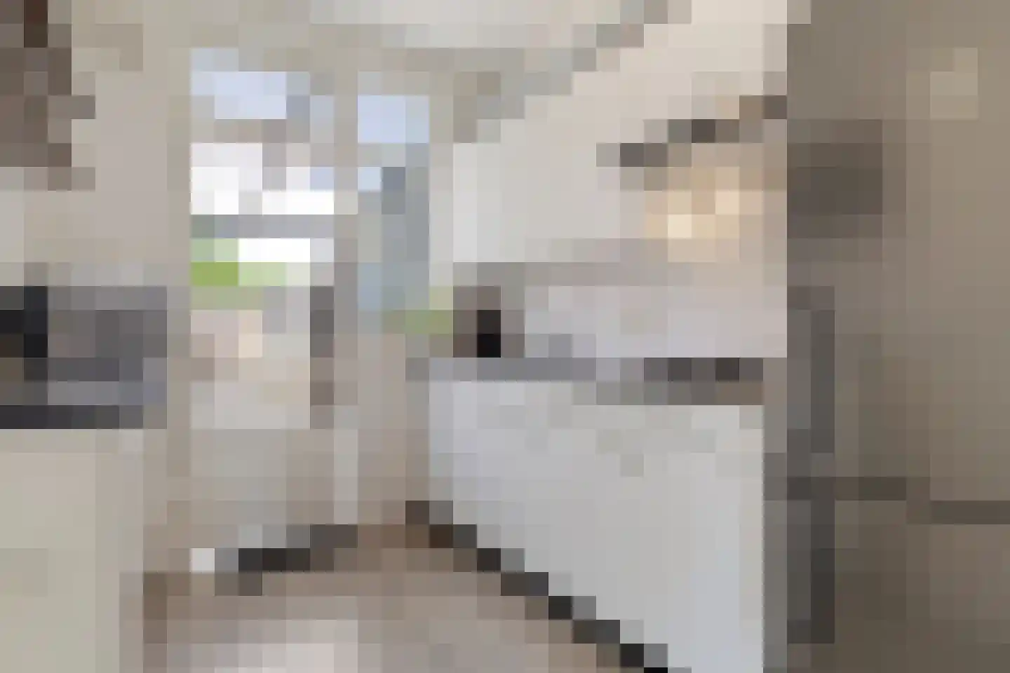 Schaepmanstraat 21 Tegelen thumbnail 19