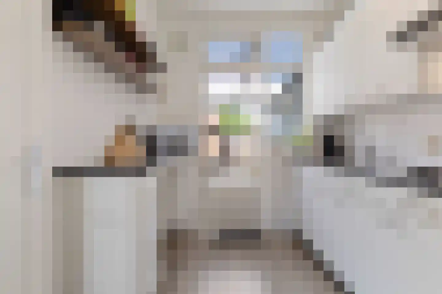 Schaepmanstraat 21 Tegelen thumbnail 20