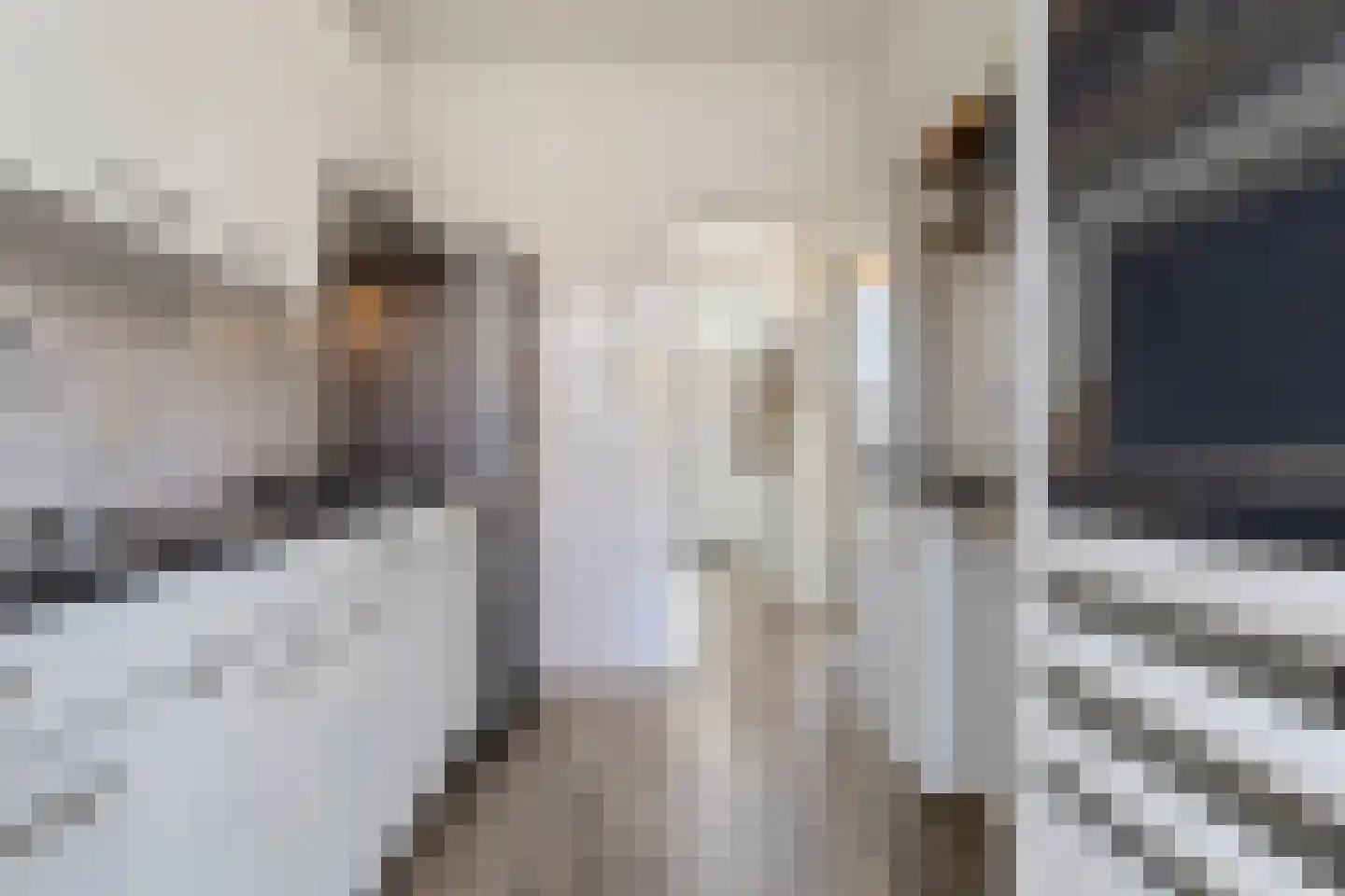 Schaepmanstraat 21 Tegelen thumbnail 21