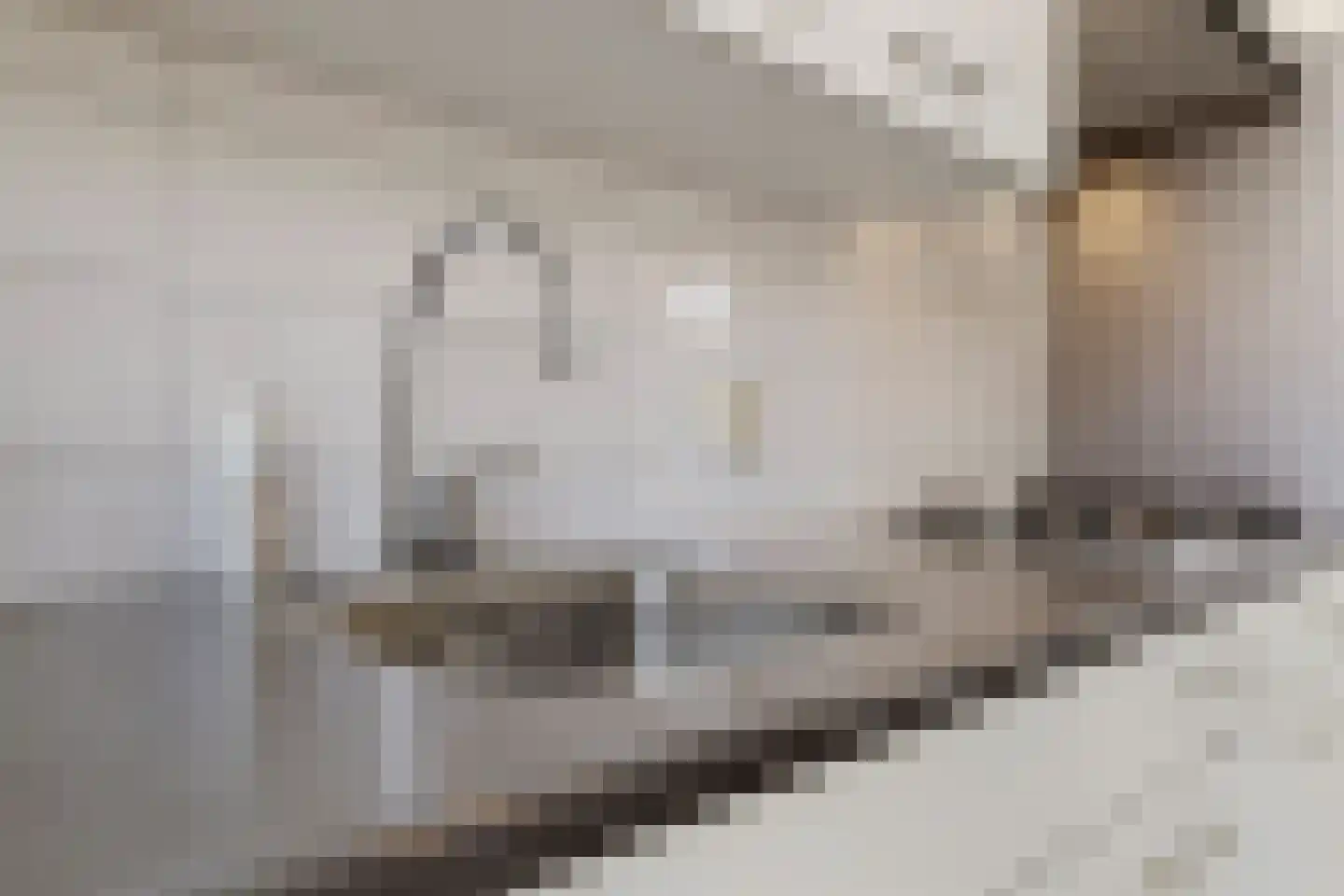 Schaepmanstraat 21 Tegelen thumbnail 22