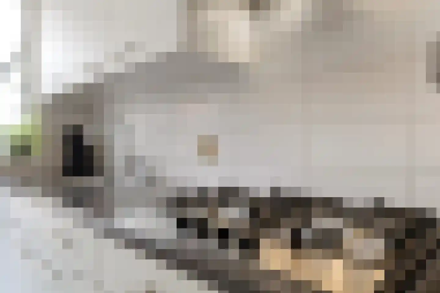 Schaepmanstraat 21 Tegelen thumbnail 23