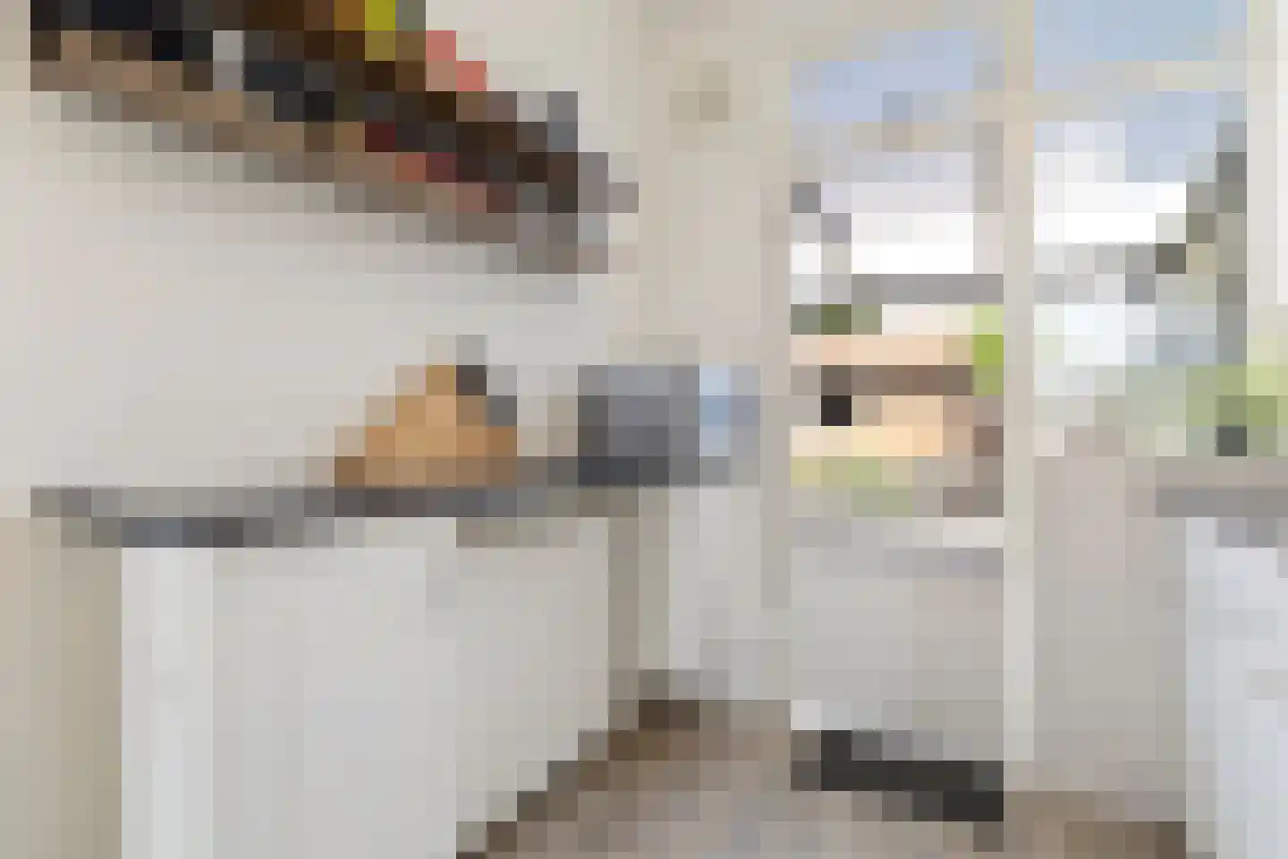 Schaepmanstraat 21 Tegelen thumbnail 24