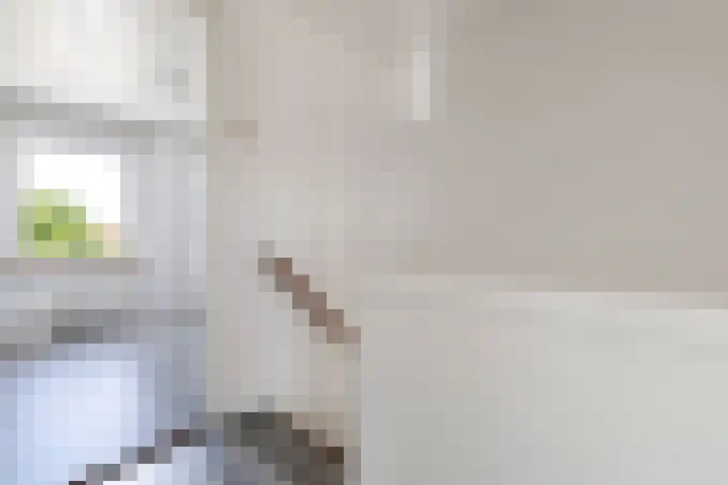 Schaepmanstraat 21 Tegelen thumbnail 26