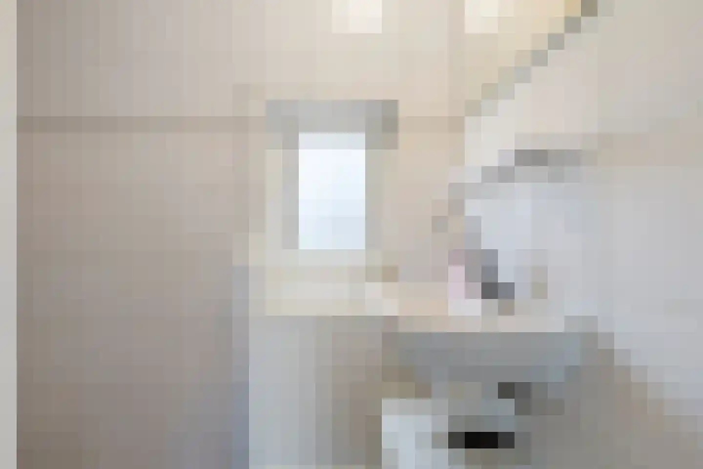 Schaepmanstraat 21 Tegelen thumbnail 34