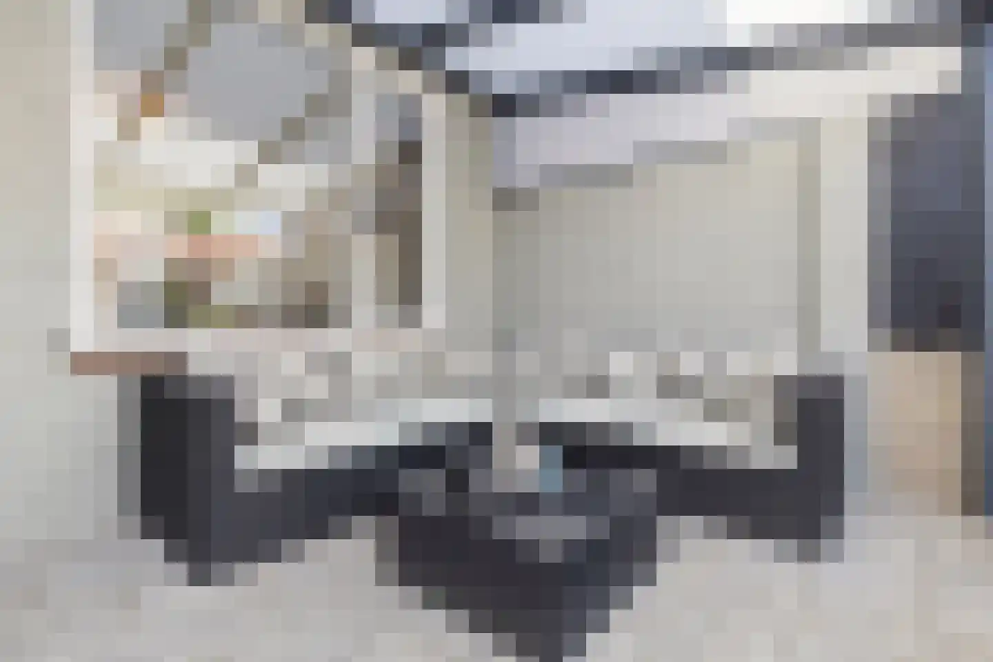 Schaepmanstraat 21 Tegelen thumbnail 39
