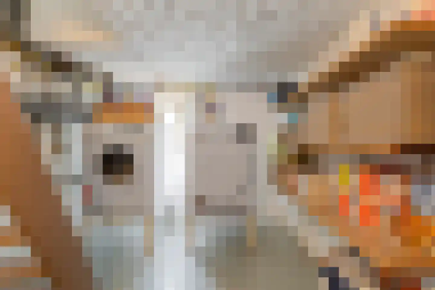 Schaepmanstraat 21 Tegelen thumbnail 43