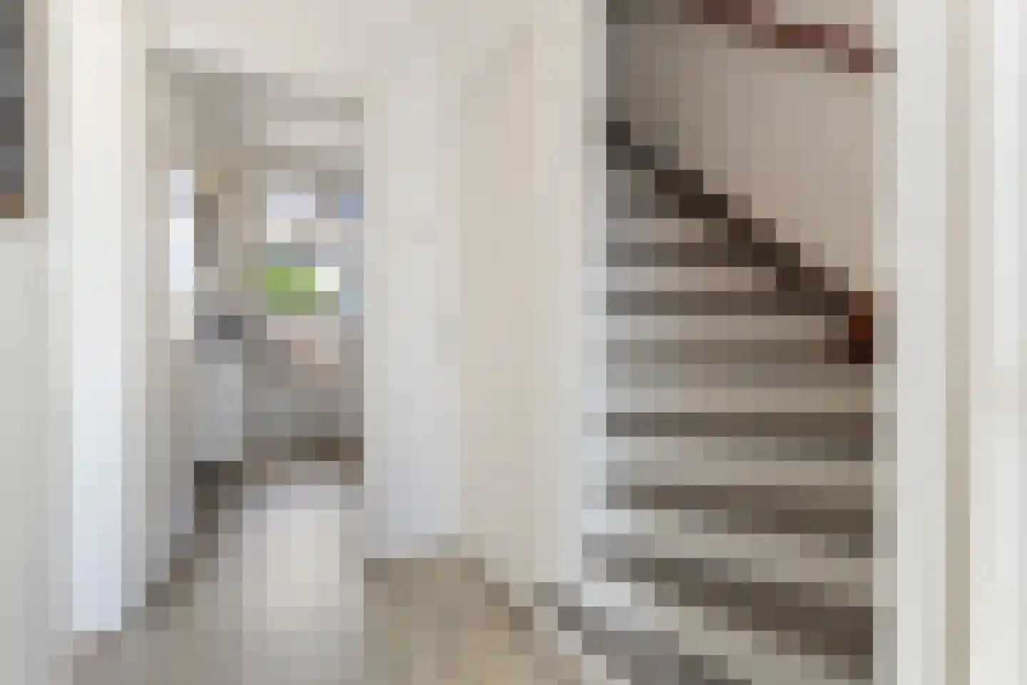 Schaepmanstraat 21 Tegelen thumbnail 6