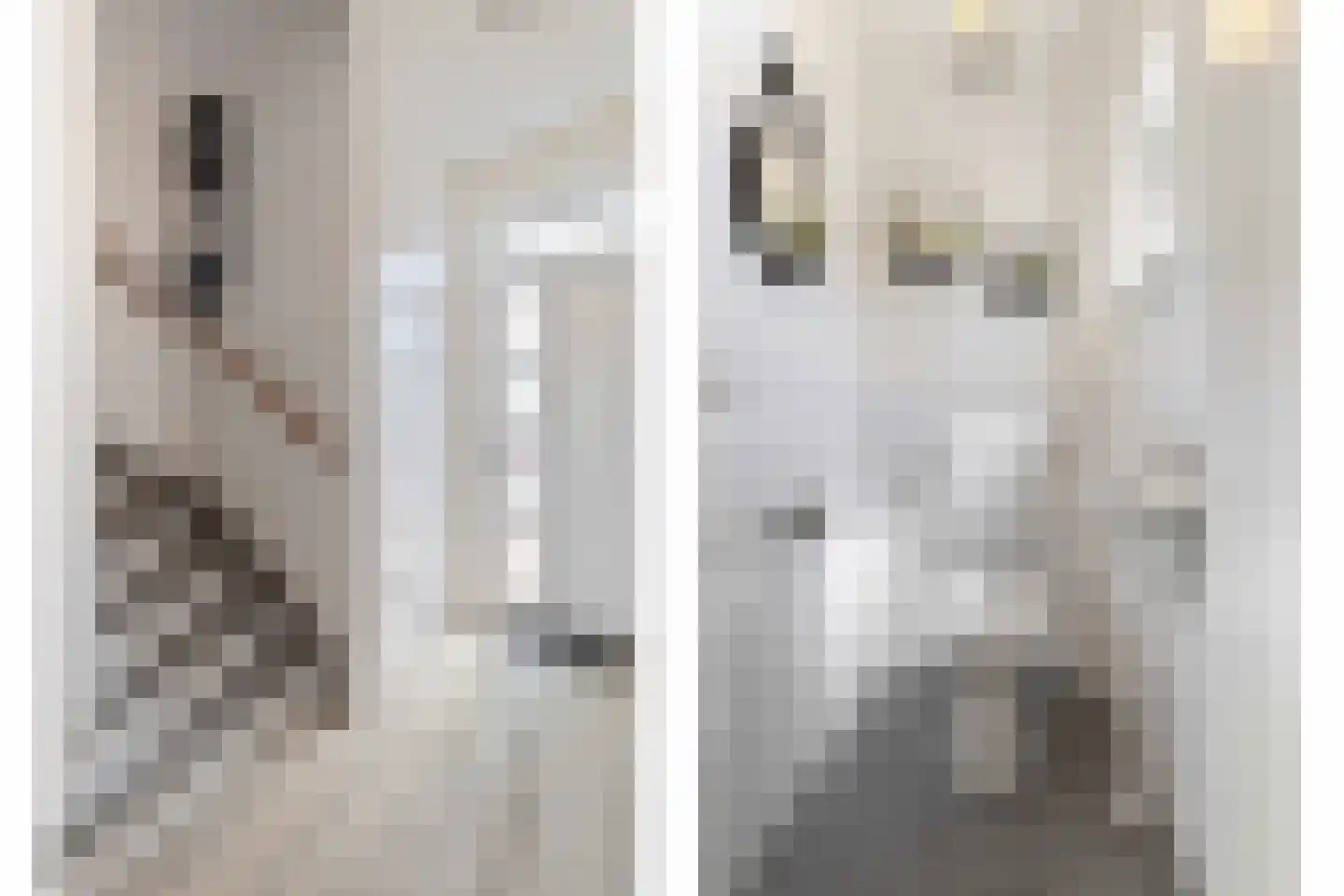 Schaepmanstraat 21 Tegelen thumbnail 8
