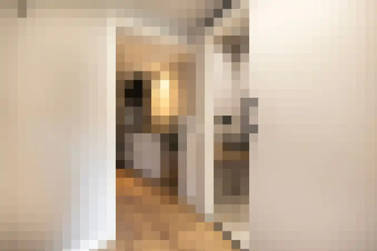 Schaepmanstraat 22 Lunteren thumbnail 12