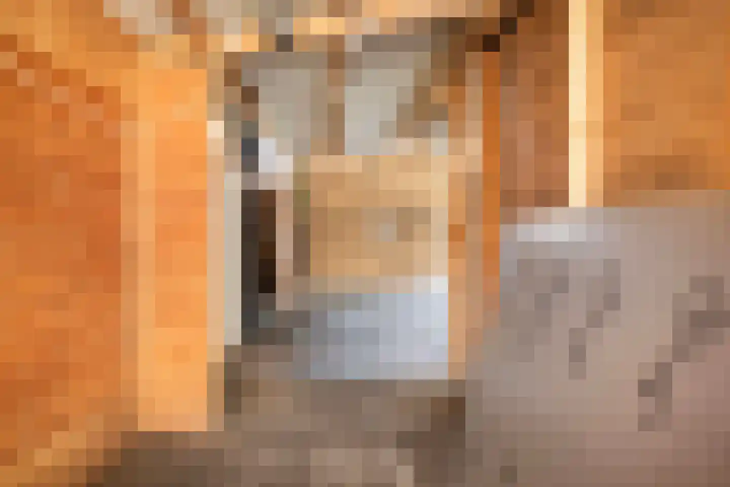Schaepmanstraat 22 Lunteren thumbnail 29