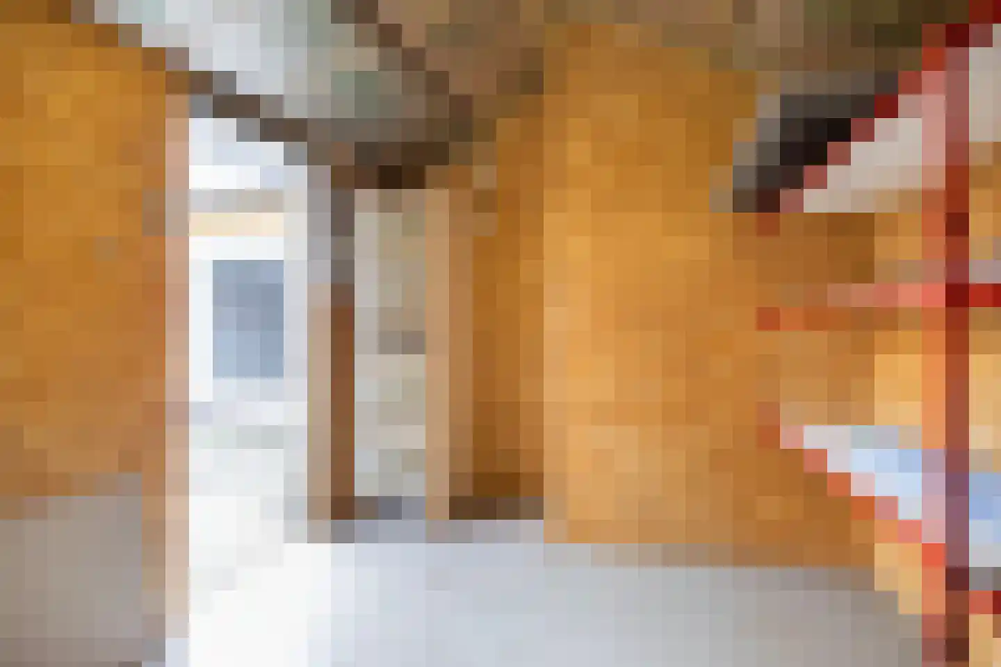 Schaepmanstraat 22 Lunteren thumbnail 34