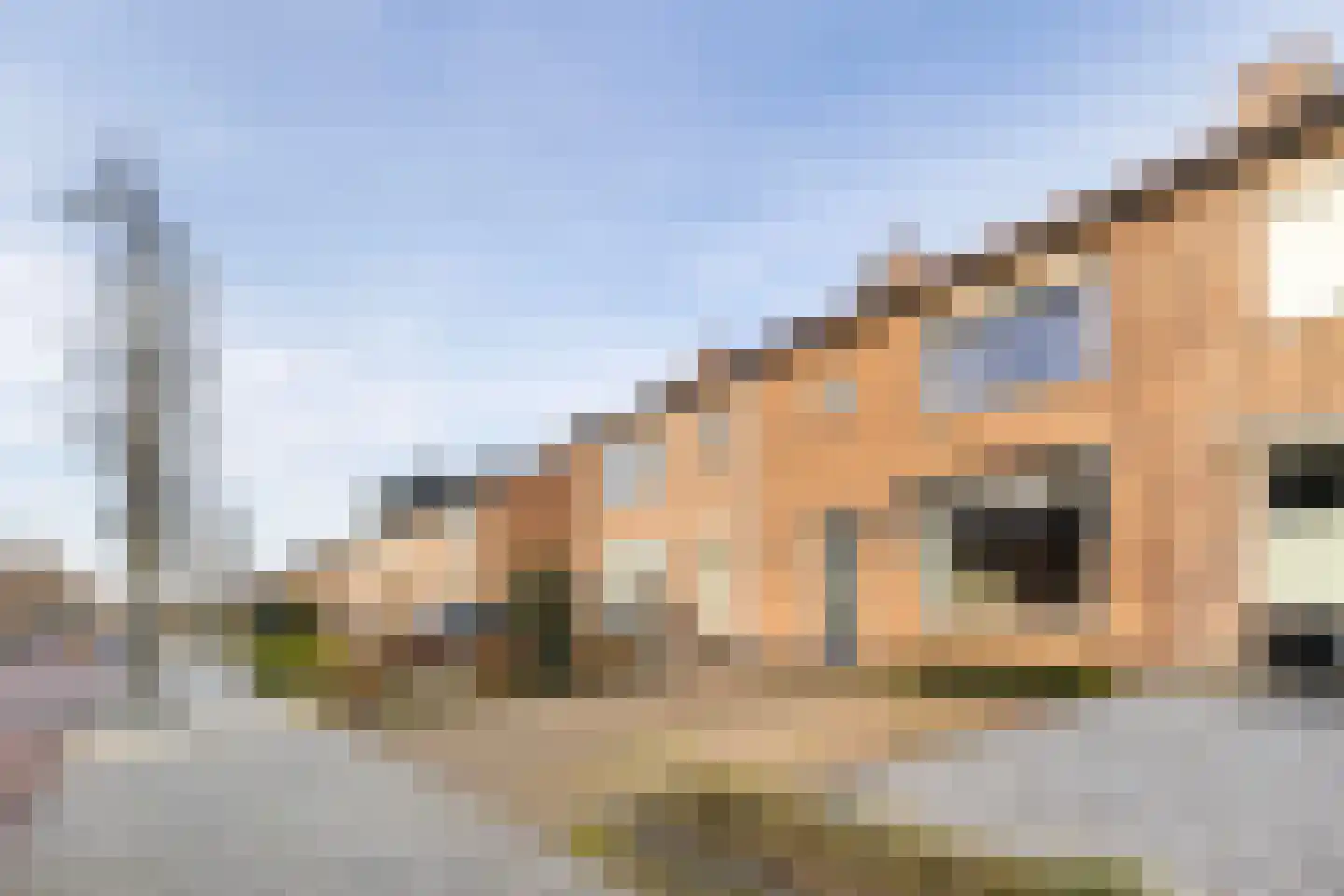 Schaepmanstraat 22 Lunteren thumbnail 37
