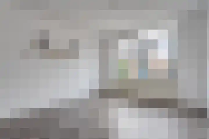 Schaepmanstraat 23 Olst thumbnail 11
