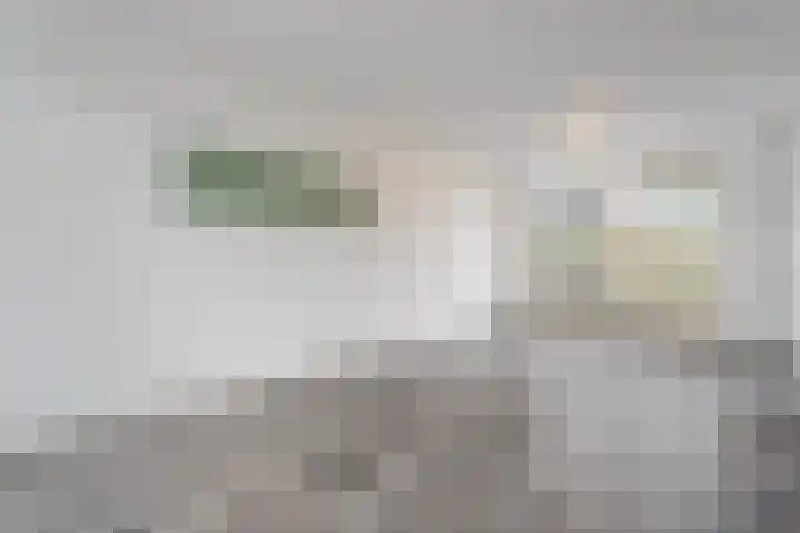 Schaepmanstraat 23 Olst thumbnail 12