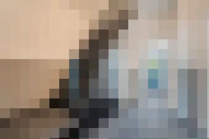 Schaepmanstraat 23 Olst thumbnail 7