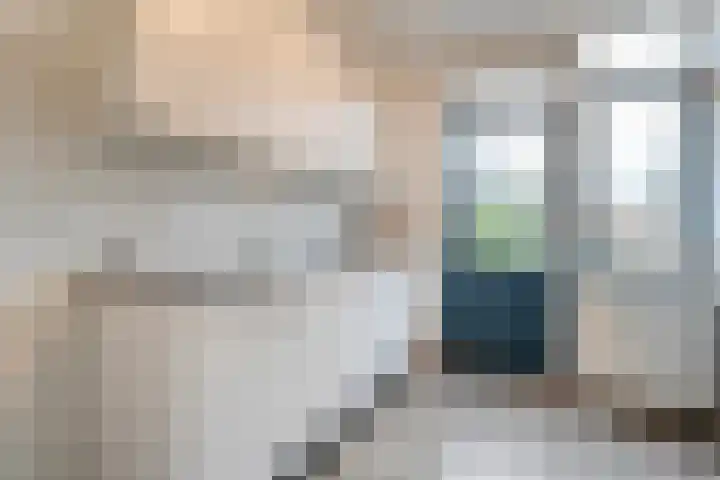 Schaepmanstraat 23 Olst thumbnail 8
