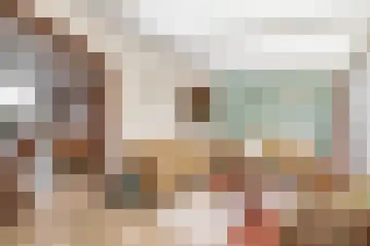 Schaepmanstraat 23 Tegelen thumbnail 9
