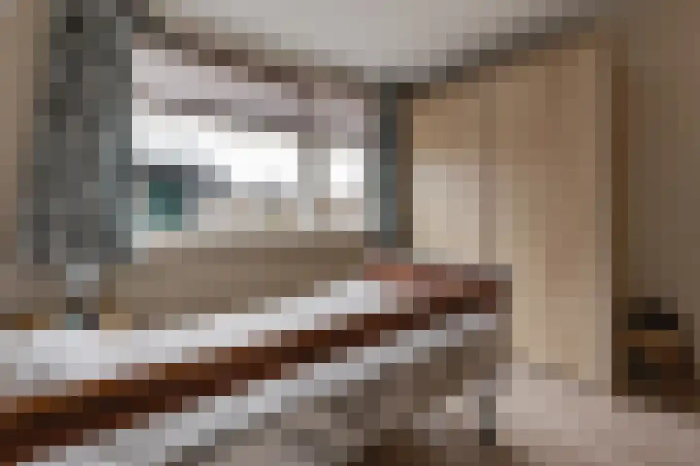 Schaepmanstraat 25 Winterswijk thumbnail 15