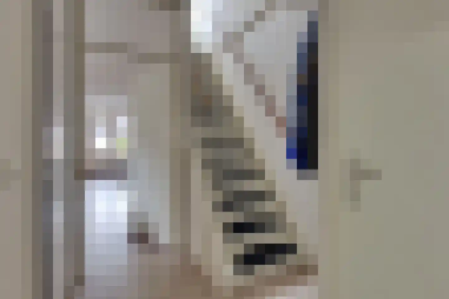 Schaepmanstraat 25 Winterswijk thumbnail 22