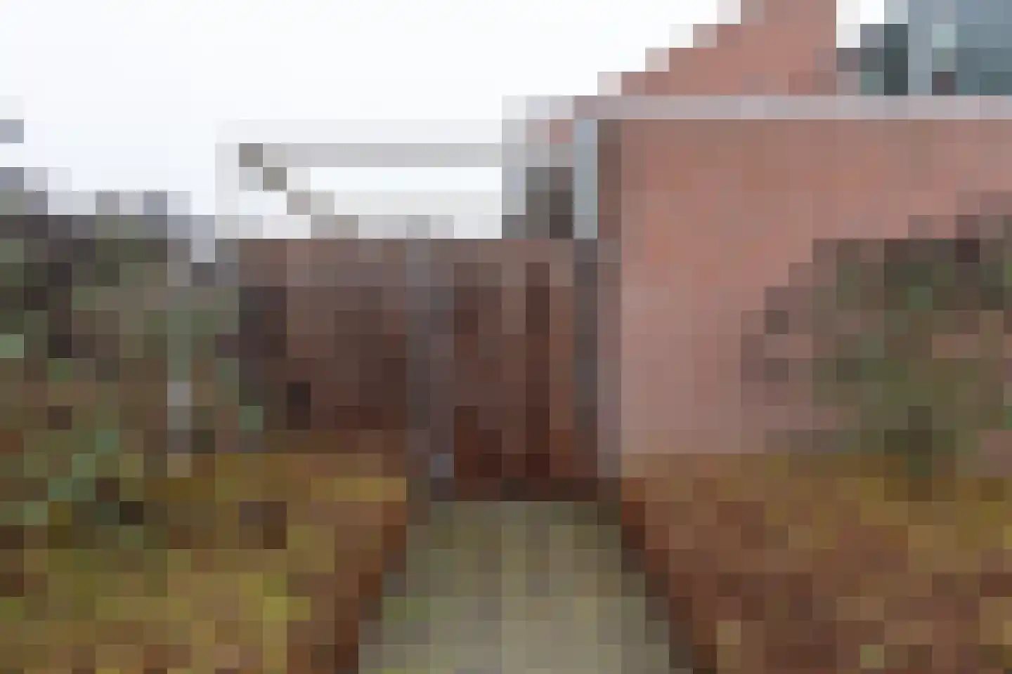 Schaepmanstraat 25 Winterswijk thumbnail 33