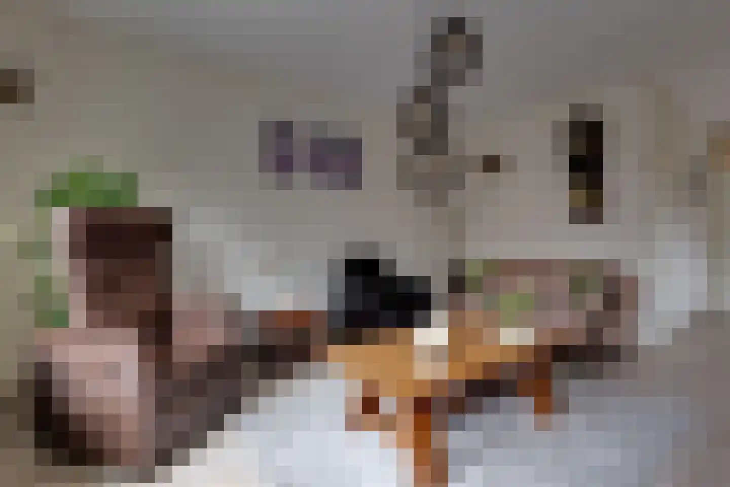 Schaepmanstraat 25 Winterswijk thumbnail 5