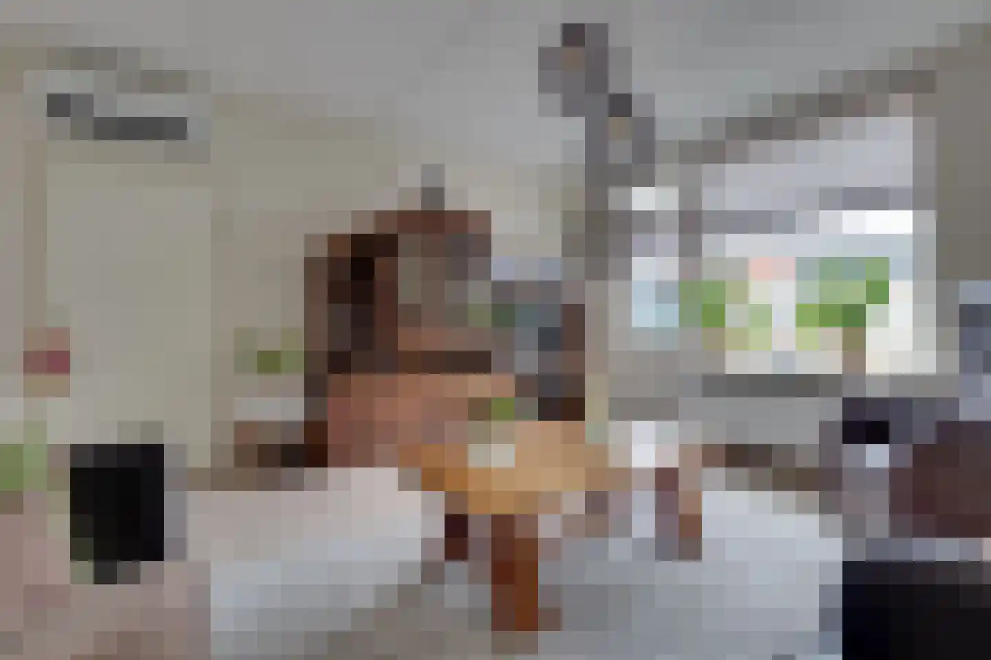 Schaepmanstraat 25 Winterswijk thumbnail 6