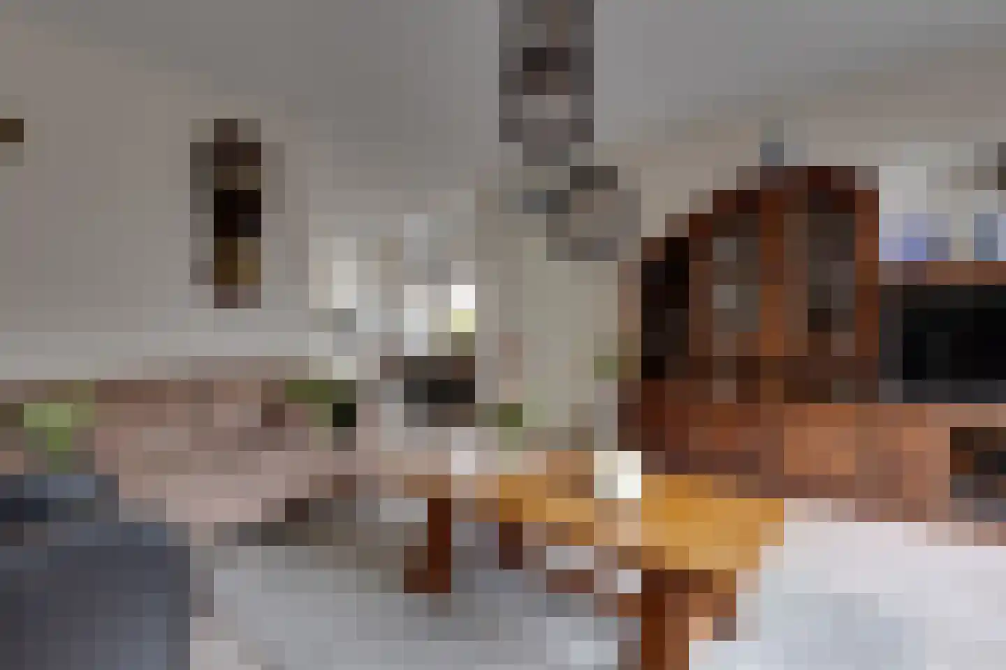 Schaepmanstraat 25 Winterswijk thumbnail 7