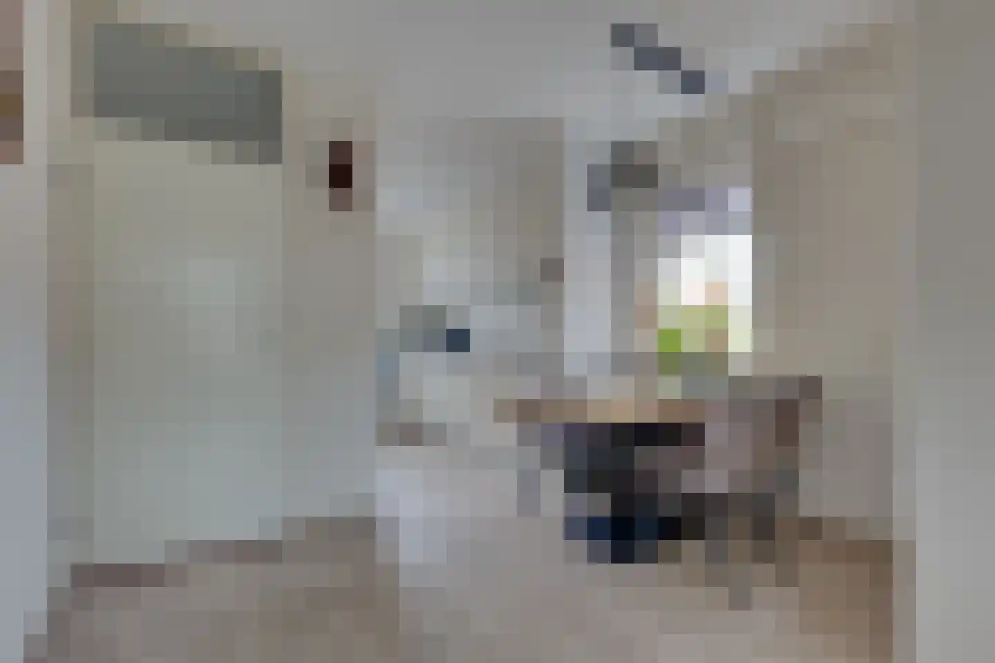 Schaepmanstraat 25 Winterswijk thumbnail 8